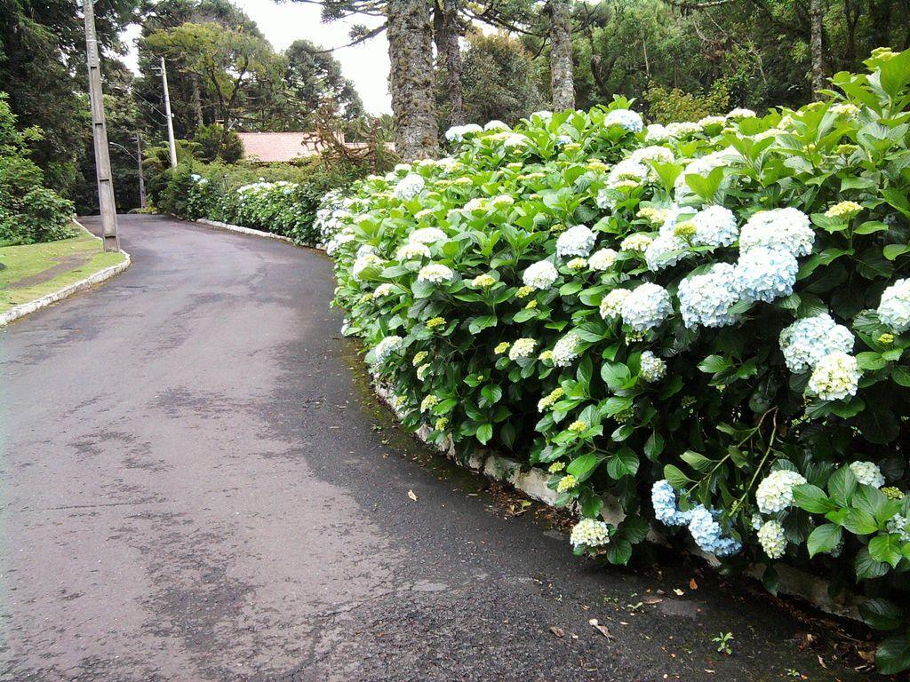 Chalé Vale do Bosque Gramado Exterior foto